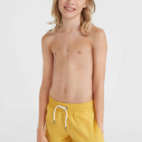 Vert 14'' Swim Shorts | Golden Haze