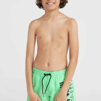 O'Riginals Cali 14'' Swim Shorts | Neon Green