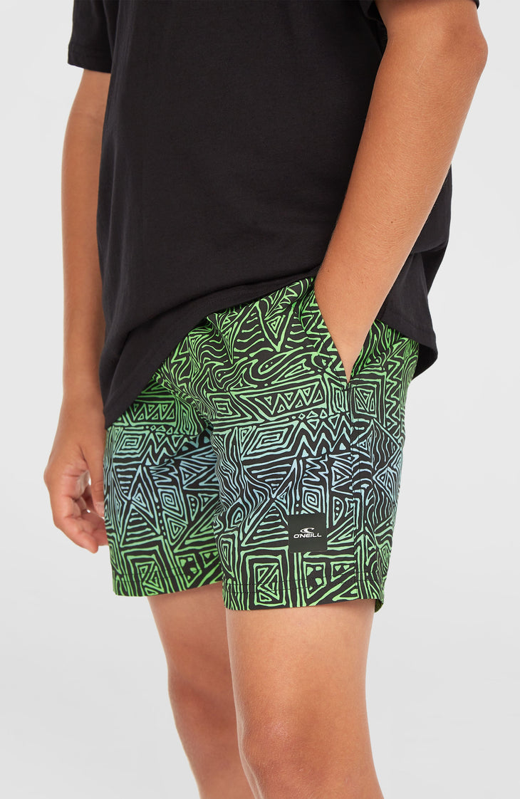 Cali 14'' Swim Shorts | Blue Gradikat
