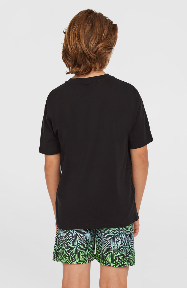 Cali 14'' Swim Shorts | Blue Gradikat