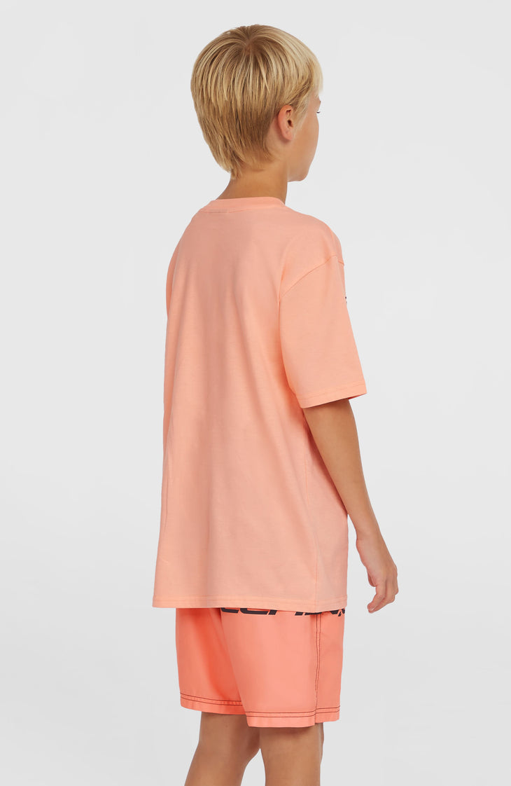 Cali Stripe 14'' Swim Shorts | Coral Upside Down