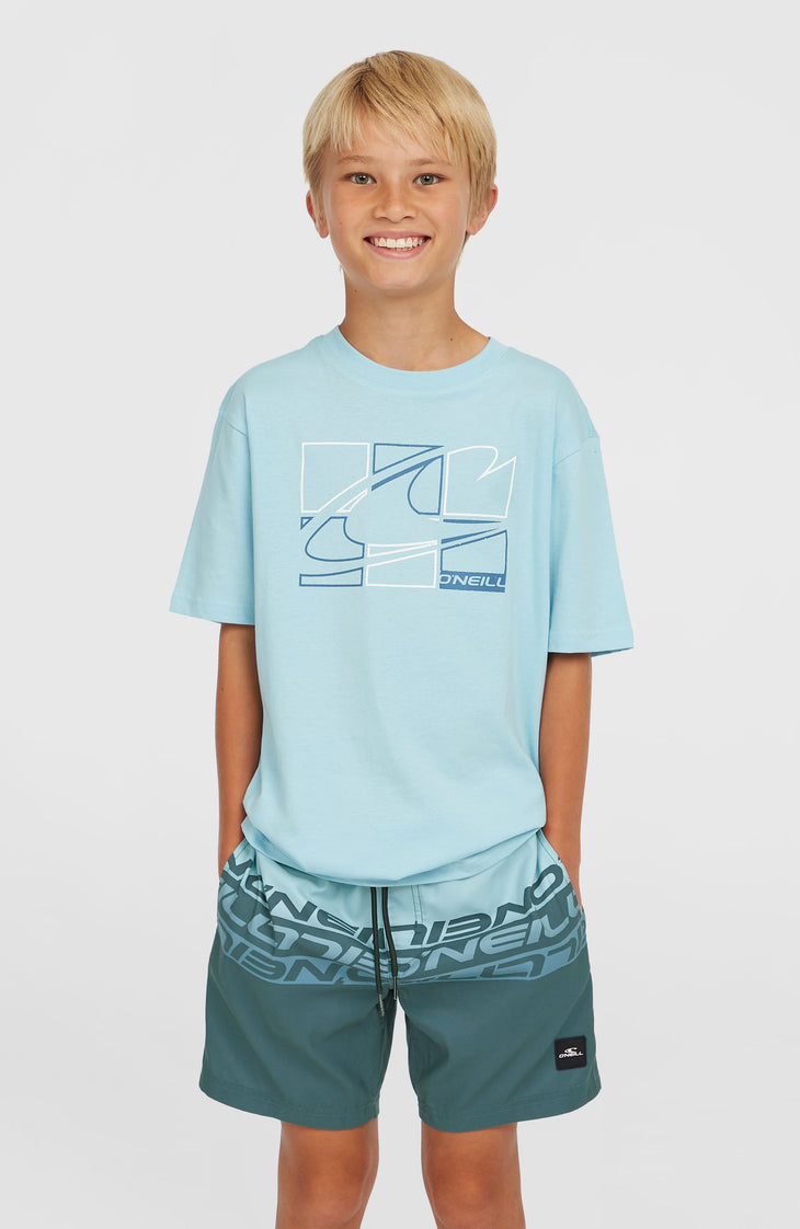 Cali Stripe 14'' Swim Shorts | Blue Upside Down