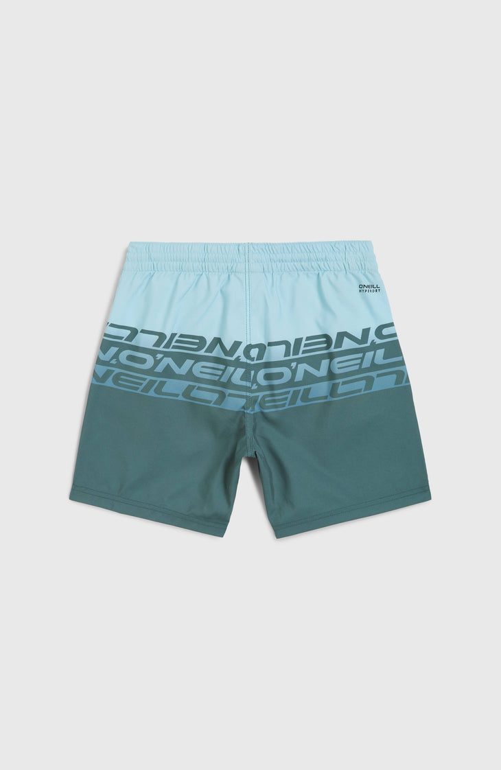 Cali Stripe 14'' Swim Shorts | Blue Upside Down