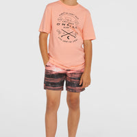 Cali Gradient 14'' Swim Shorts | Coral Melted Texture