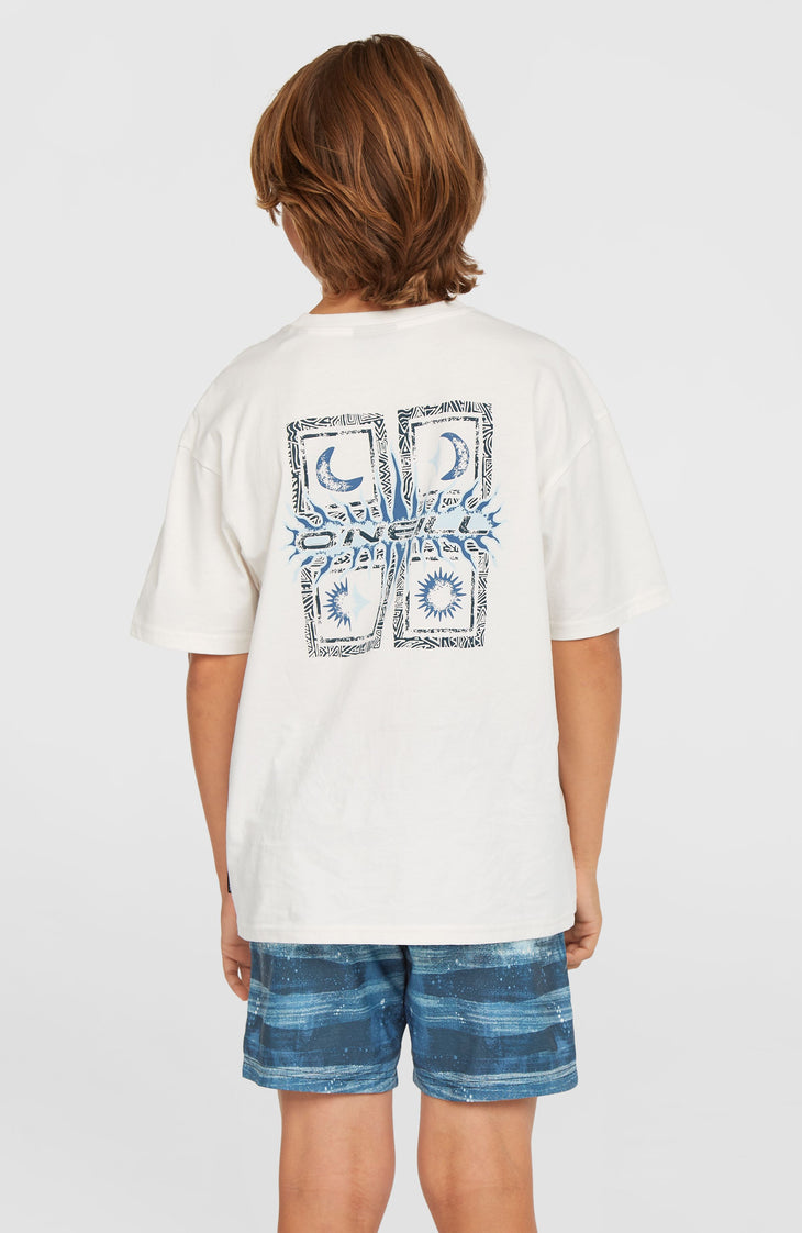 Cali Gradient 14'' Swim Shorts | Blue Melted Stripe Boys