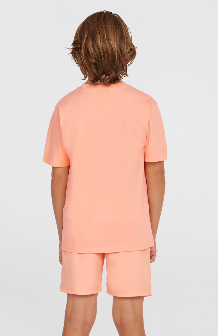 Original Cali 14'' Swim Shorts | Coral Pop