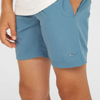 Vert 14'' Swim Shorts | Copen Blue