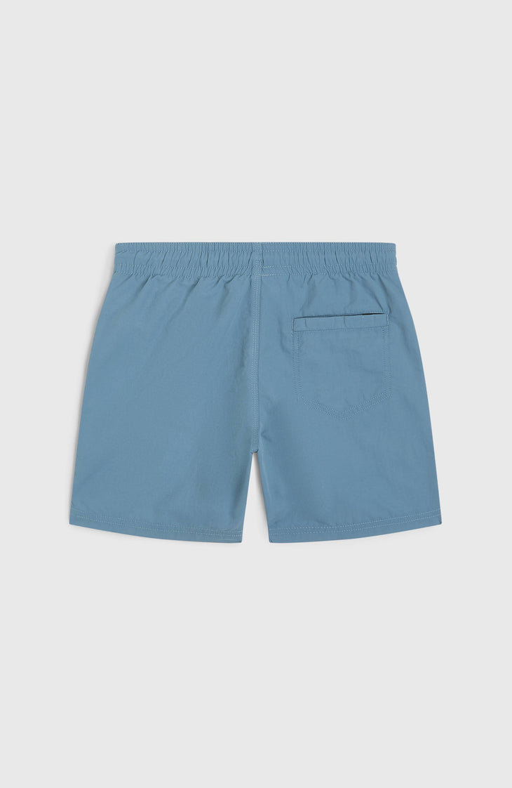 Vert 14'' Swim Shorts | Copen Blue