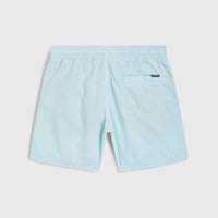 Vert 14'' Swim Shorts | Morning Glory