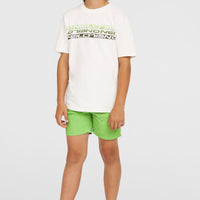 Vert 14'' Swim Shorts | Paradise Valley