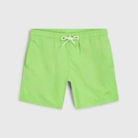 Vert 14'' Swim Shorts | Paradise Valley