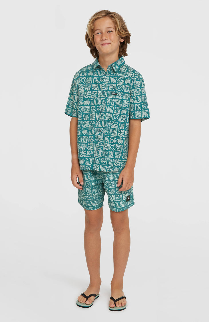 O'Neill Print Swimshorts | Blue Bricks