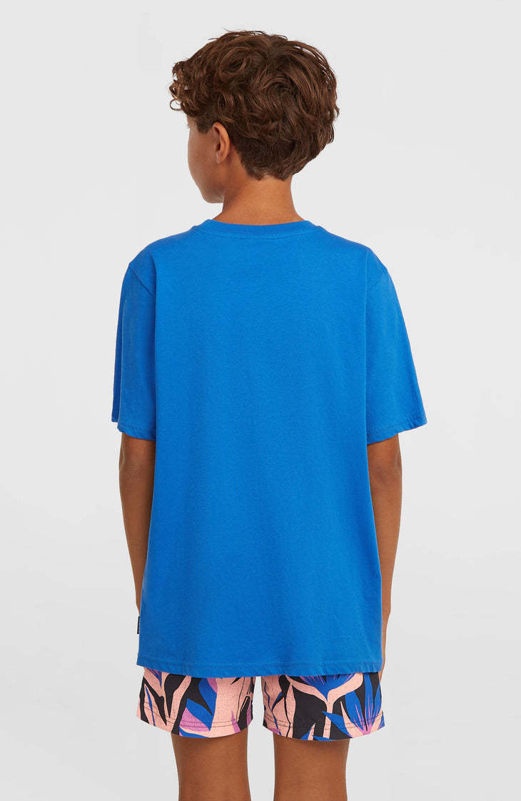 O'Neill Print Swimshorts | Black Tropicana Big