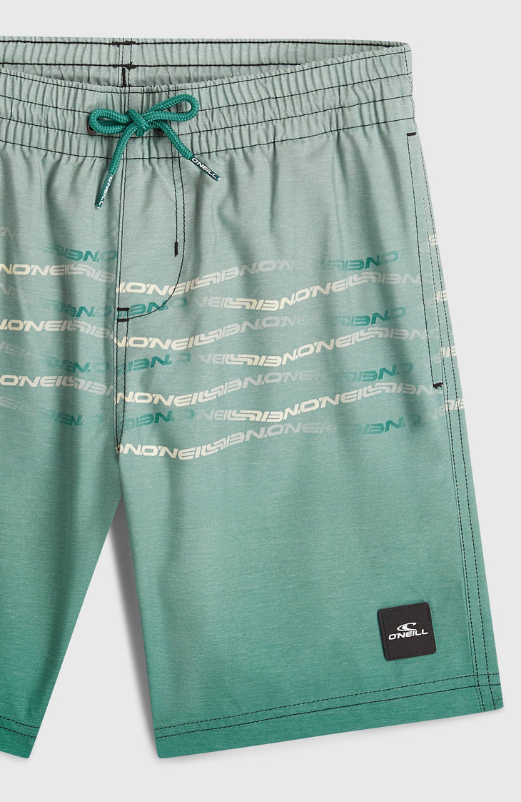 O'Neill First Swimshorts | Boys Green Heritage Flip