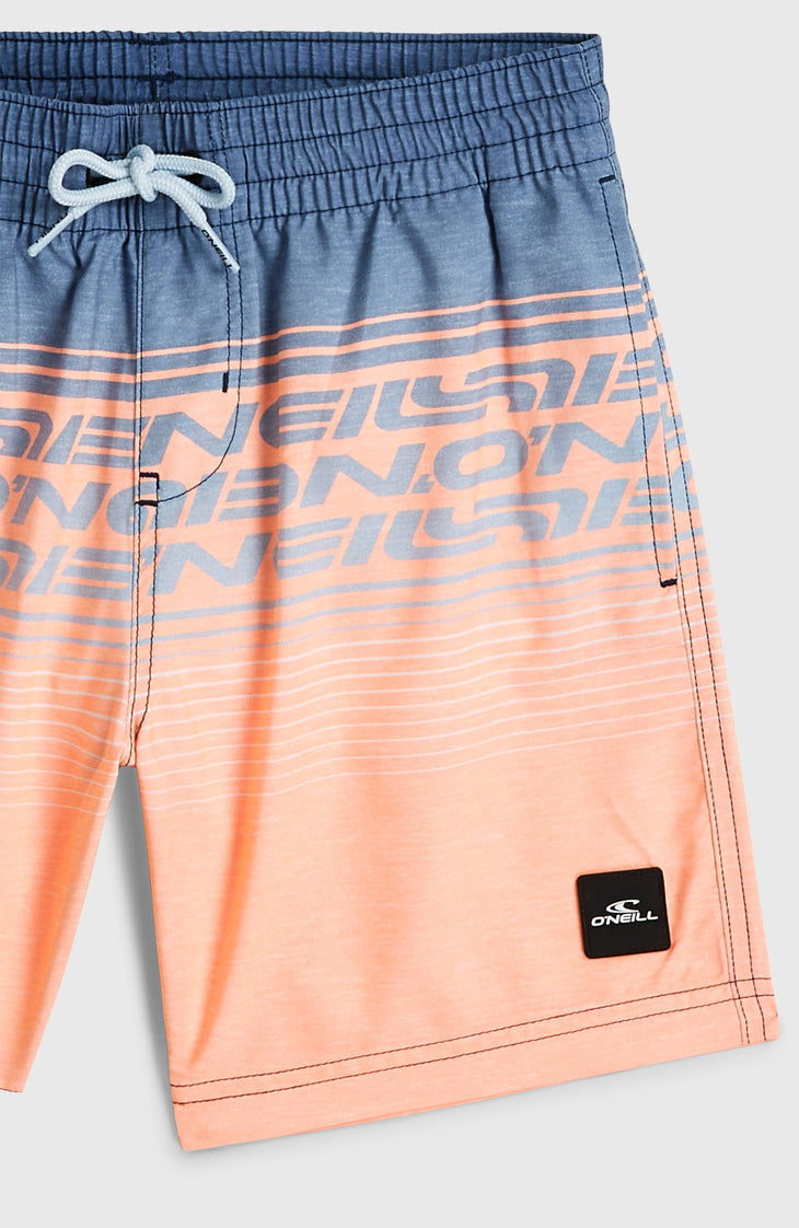 O'Neill Logo Stripe Swimshorts | Boys Purple Heritage O'Neill