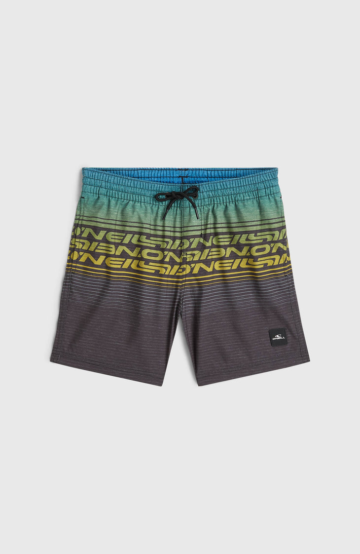 O'Neill Logo Stripe Swimshorts | Boys Blue Heritage O'Neill