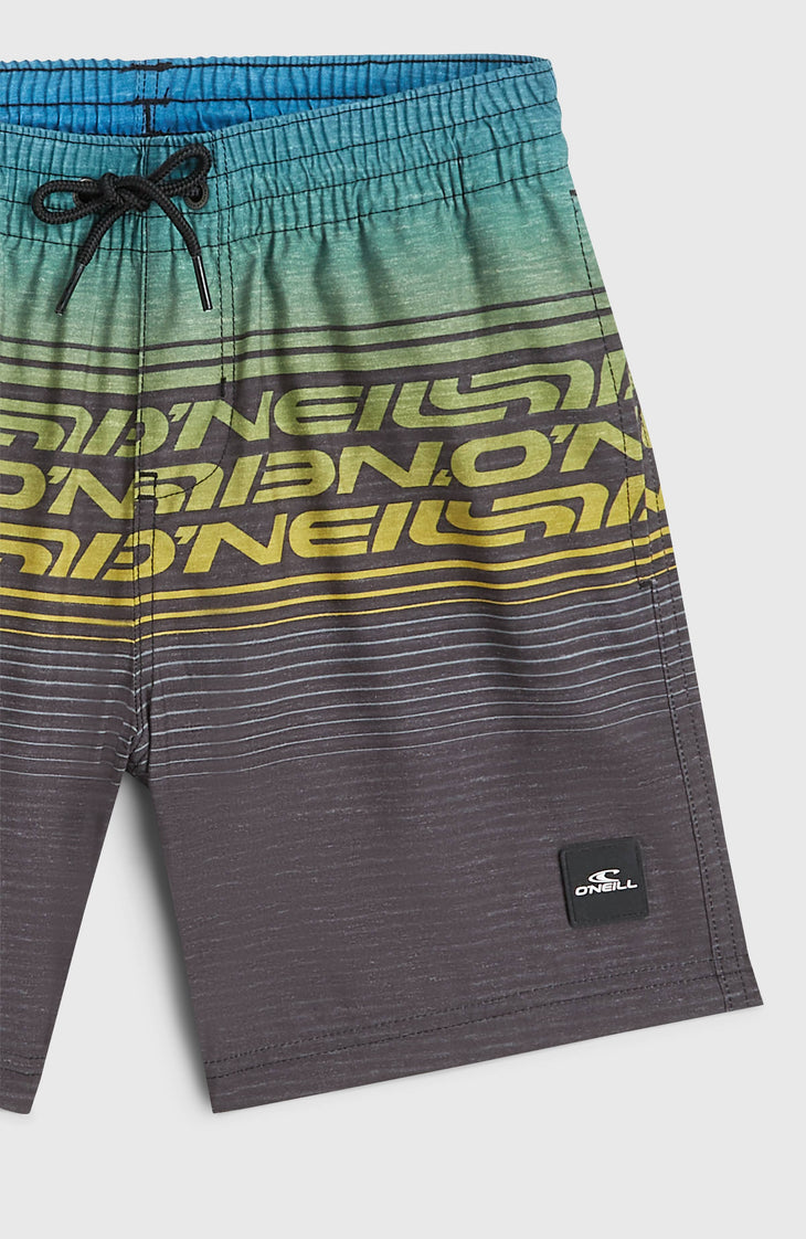 O'Neill Logo Stripe Swimshorts | Boys Blue Heritage O'Neill