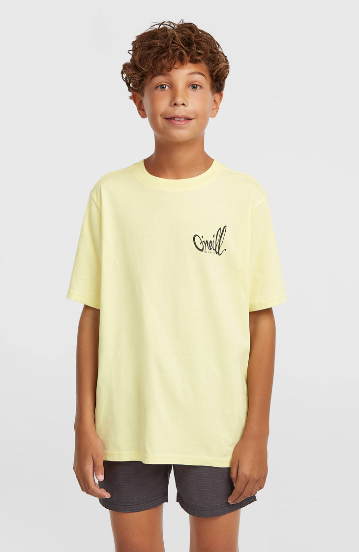 O'Neill Logo Stripe Swimshorts | Boys Blue Heritage O'Neill