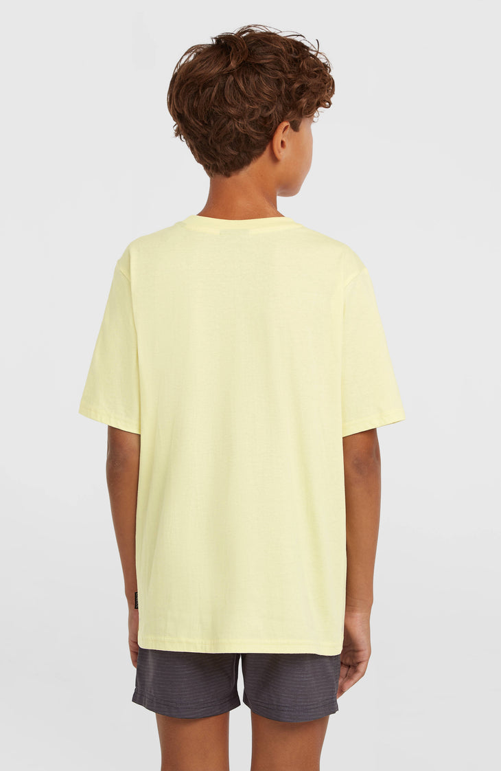 O'Neill Logo Stripe Swimshorts | Boys Blue Heritage O'Neill