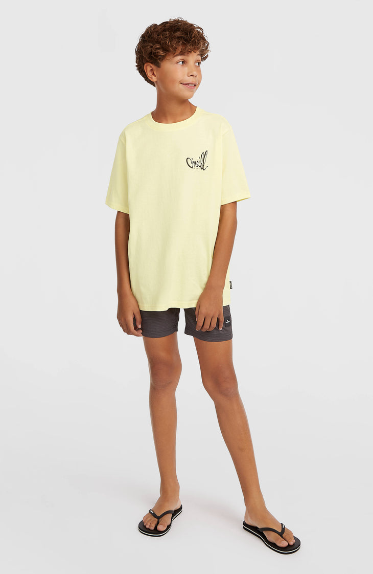 O'Neill Logo Stripe Swimshorts | Boys Blue Heritage O'Neill