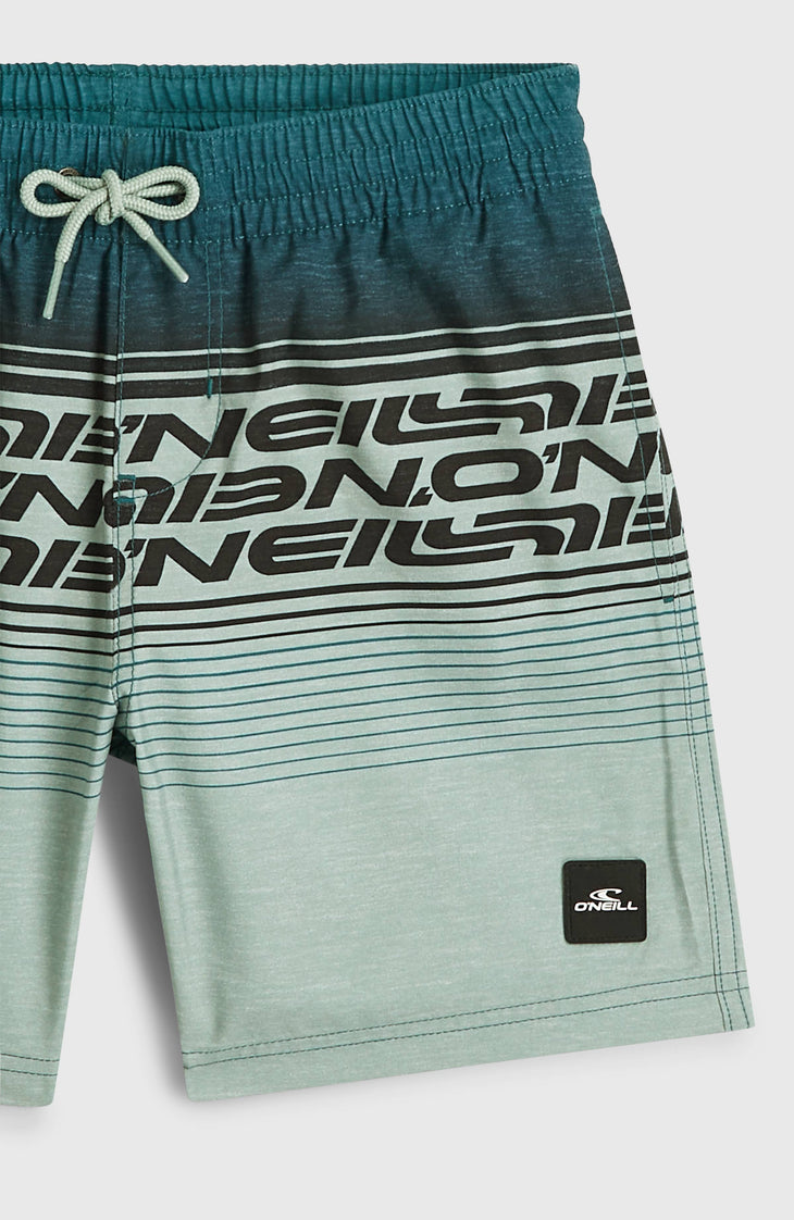 O'Neill Logo Stripe Swimshorts | Boys Green Heritage O'Neill