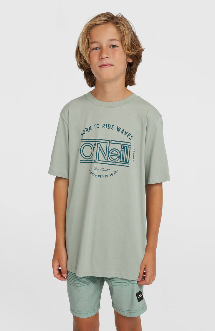 O'Neill Logo Stripe Swimshorts | Boys Green Heritage O'Neill