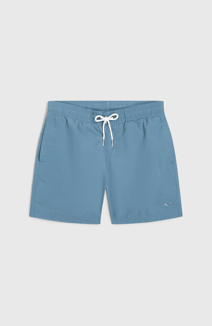 O'Neill Vert Swimshorts | Copen Blue