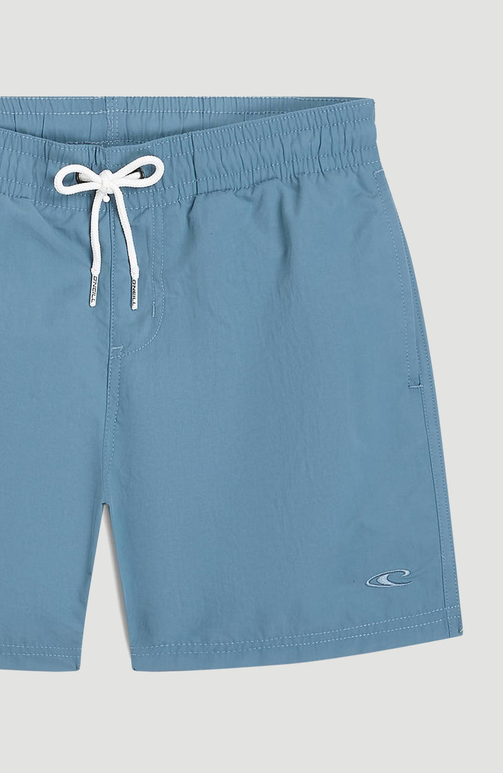 O'Neill Vert Swimshorts | Copen Blue
