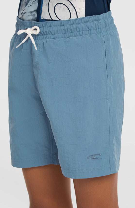 O'Neill Vert Swimshorts | Copen Blue