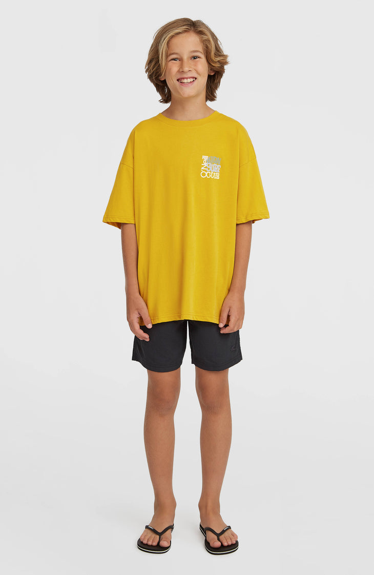 O'Neill Vert Swimshorts | Black Out