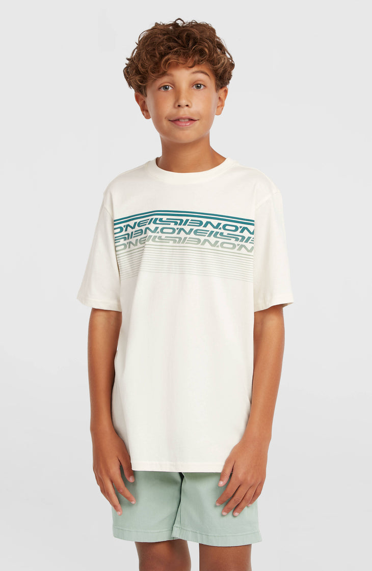 O'Neill Logo Stripe T-Shirt | Snow White