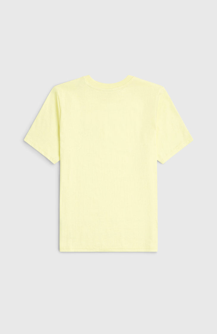 O'Neill Chest Print T-Shirt | Rainforest Dew