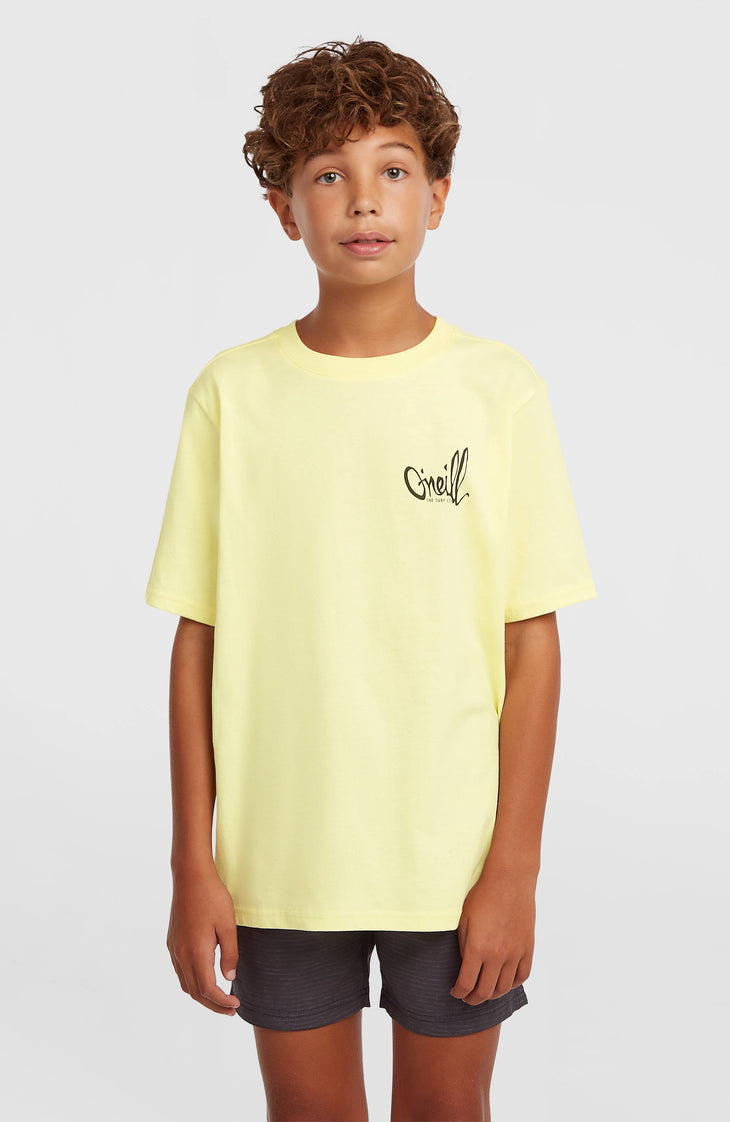 O'Neill Chest Print T-Shirt | Rainforest Dew