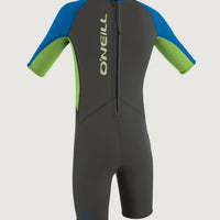 Reactor-2 2mm Back Zip Shortsleeve Spring Wetsuit | GR Grey
