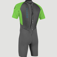 Reactor-2 2mm Back Zip Shortsleeve Spring Wetsuit | GRAPH/DAYGLO