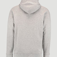 O'Neill Hoodie | Silver Melee -A