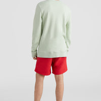 O'Neill Triple Stack Crew Sweatshirt | Sea Foam