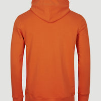 Circle Surfer Hoodie | Puffin's Bill