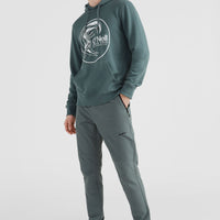 Circle Surfer Hoodie | Balsam Green