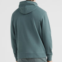 Circle Surfer Hoodie | Balsam Green