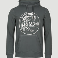 Circle Surfer Hoodie | Balsam Green