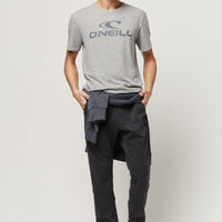 O'Neill Crew T-Shirt | Silver Melee -A