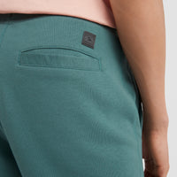 O'Neill Logo Sweatshorts | Sea Pine