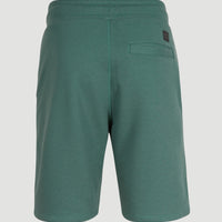 O'Neill Logo Sweatshorts | Sea Pine