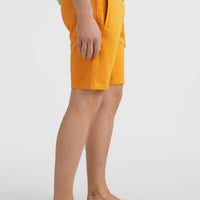 O'Neill Logo Sweatshorts | Nugget