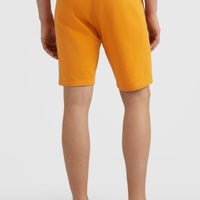O'Neill Logo Sweatshorts | Nugget