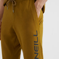 O'Neill Logo Sweatpants | Plantation