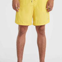 Vert 16'' Swim Shorts | Dandelion