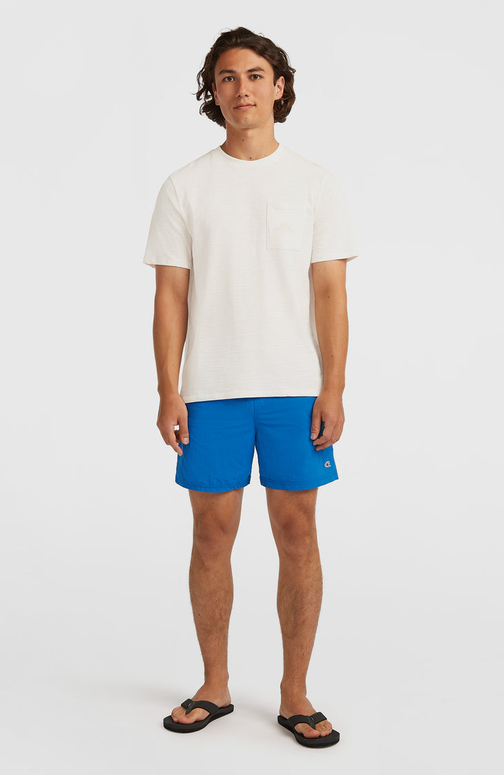 Vert 16'' Swim Shorts | Victoria Blue