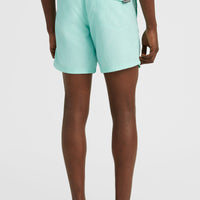 Vert 16'' Swim Shorts | Beach Glass